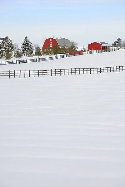 Red Barn In Winter, Near Zephyr, Ontario