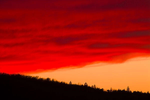 Red Sunset Clouds Over Forested Hillside, Bedford, Nova Scotia