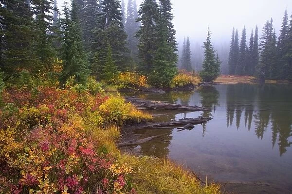 Reflection On Lake In Autumn; Mount Rainier National Park, Washington, Usa