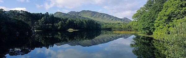 Reflection Of Trees And A Mountain In A Lake, Beara Peninsula, County Kerry, Republic Of Ireland