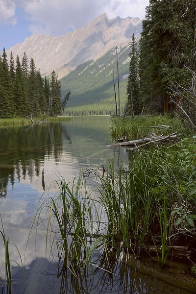 Reflections On Beaver Lake, Jasper National Park, Alberta