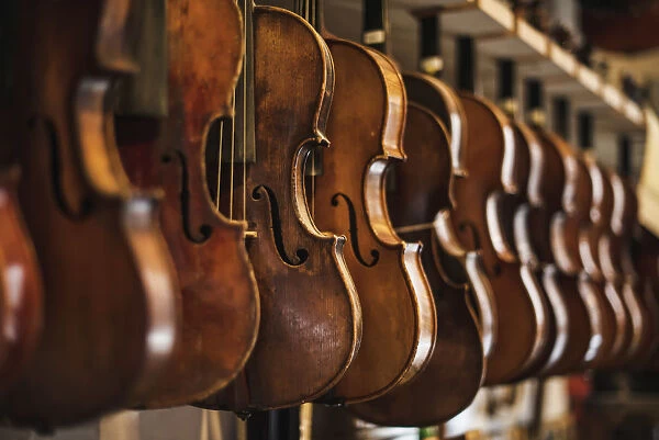 Repaired Violins And Violas On Racks In The Sound Post Repair Shop; Toronto, Ontario, Canada