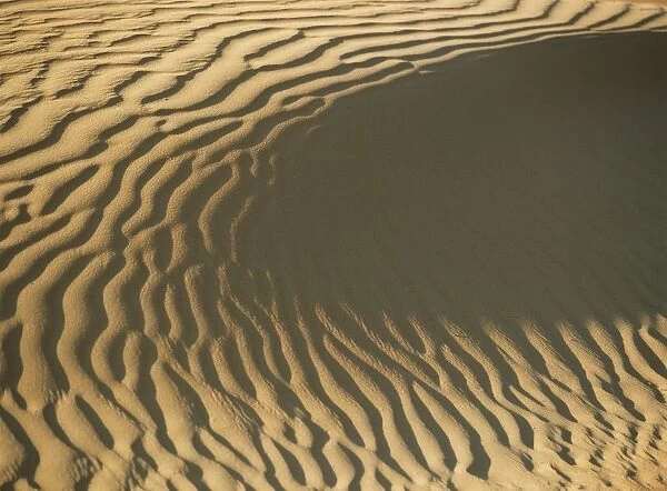 Ripples In Sand Dune, Close Up