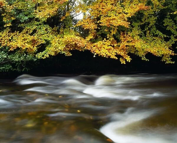 River Camcor, Co Offaly, Ireland