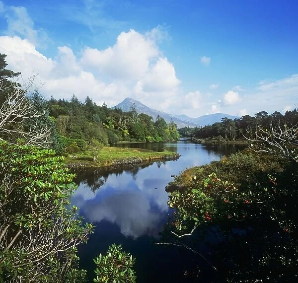 River Passing Through A Forest, Connemara, County Galway, Republic Of Ireland