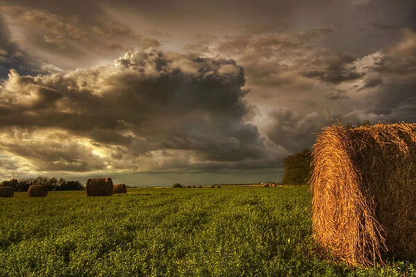 Rolled Hay Bales Under Storm Clouds On A Farm North Of Edmonton, Alberta