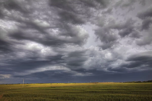 Rolling Storm Clouds Over Prairie, Alberta