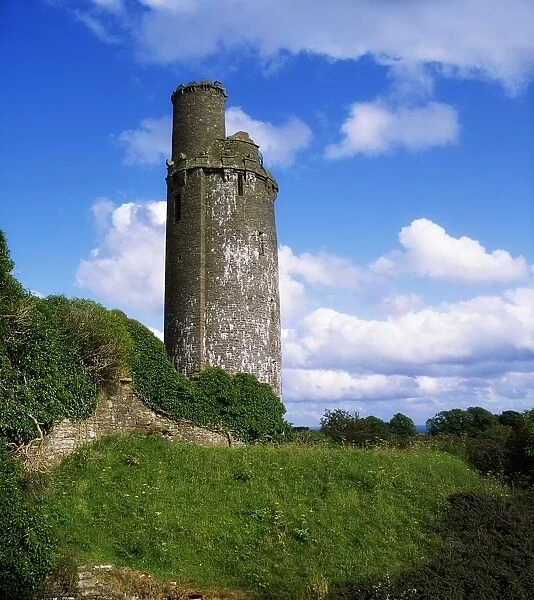 Round Towers, Tower At Ballyfin, Co Laois