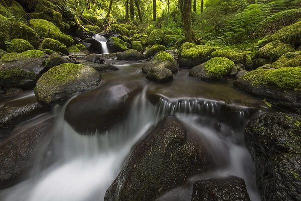 Ruckel Creek; Oregon, United States Of America