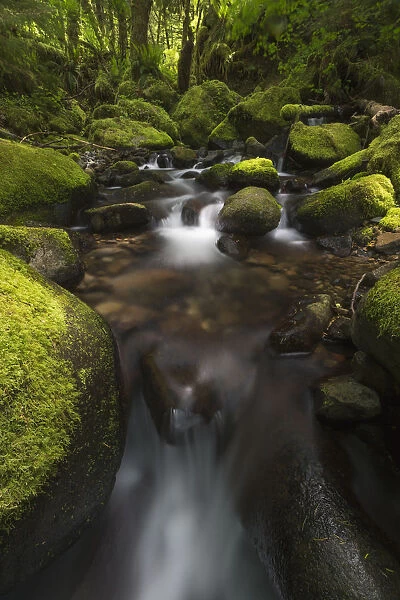 Ruckel Creek; Oregon, United States Of America