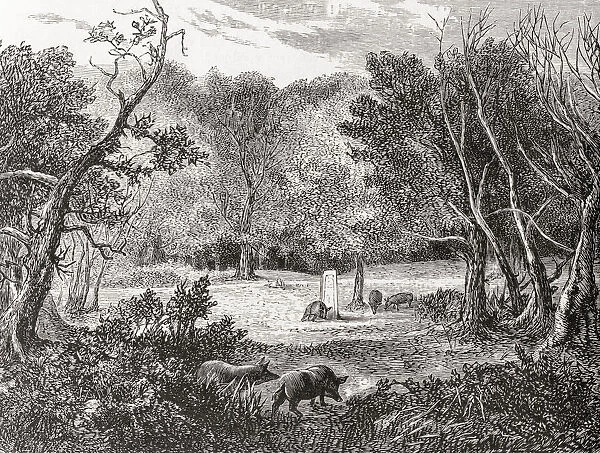 The Rufus Stone, New Forest, England, seen here in the 19th century. This stone is said to mark the spot where William II fell. From English Pictures, published 1890