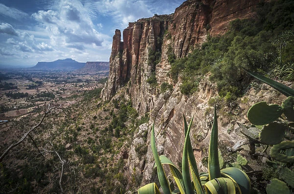Rugged Cliffs And Plants On A Landscape; Tigray, Ethiopia