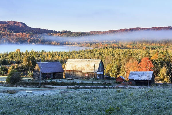 Rustic Buildings And Barn Among Autumn Colors At Sunrise; Blanche, Outaouais, Quebec, Canada
