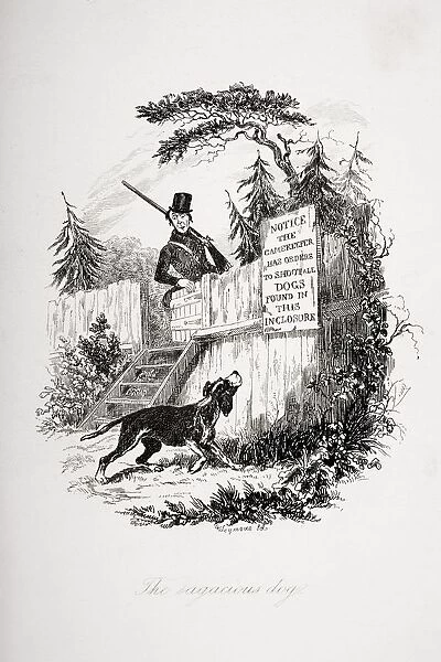 The Sagacious Dog. Illustration From The Charles Dickens Novel The Pickwick Papers By Robert Seymour, 1800-1836