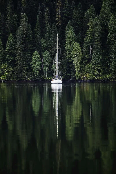 Sailboat in an estuary, Great Bear Rainforest, British Columbia, Canada