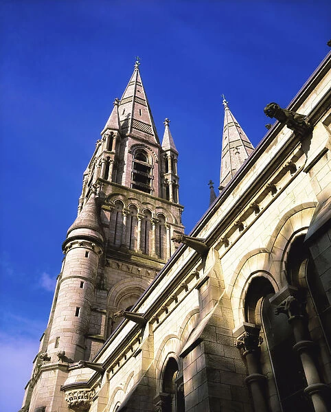 Saint Finbarres Cathedral, Cork City, Co Cork, Ireland