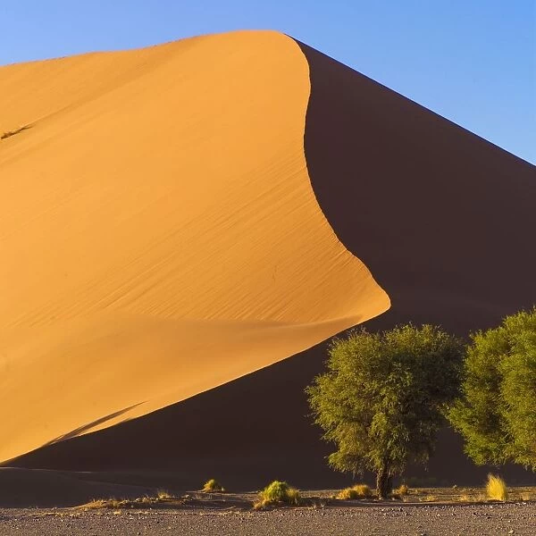 Sand Dune, Namibia, Africa