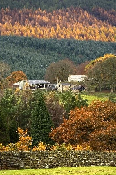 Scenic Autumn Landscape With Country Houses; England, Uk