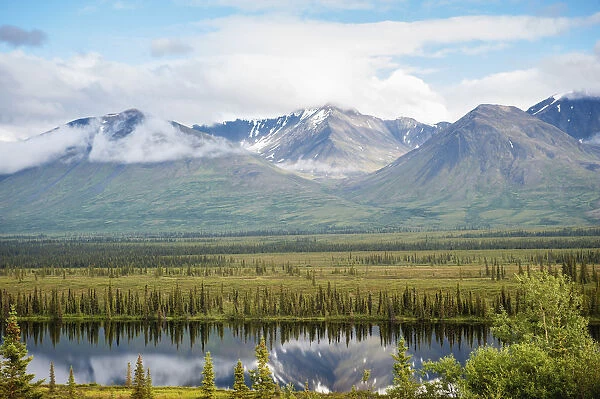 Scenic View Inside Denali National Park And Preserve, Interior Alaska, Summer