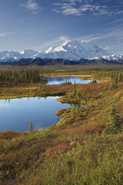 Scenic View Of Tundra Ponds And Fall Colors With Mt. Mckinley In The Background, Denali National Park, Alaska