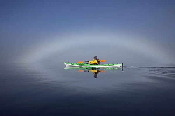 A Sea Kayaker Paddles Along The Edge Of A Thick Fog Bank In Southeast Alaskas Stephens Passage, A Fog Bow Has Formed Where Water Particles Reflect The Light Of The Morning Sun. Mr_ Ed Emswiler, Id#12172012A