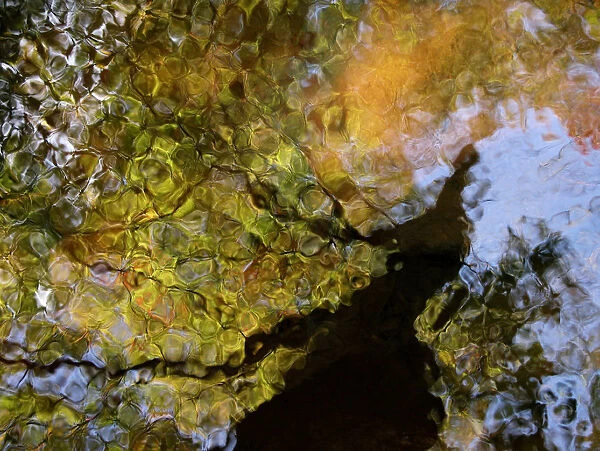 Second Earth, Massachusetts, Seekonk, Caratunk Wildlife Refuge, Colorful Glassy Reflections On Water