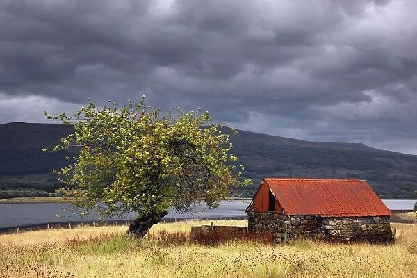 Shack In A Field; Strontian, Highland, Scotland