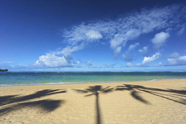 Shadows Of Palm Trees On Tunnels Beach; Kauai, Hawaii, United States Of America