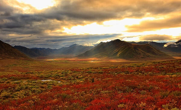 Shaft Of Sunlight Hitting The Fall Colours Of The Dempster Highway, Yukon
