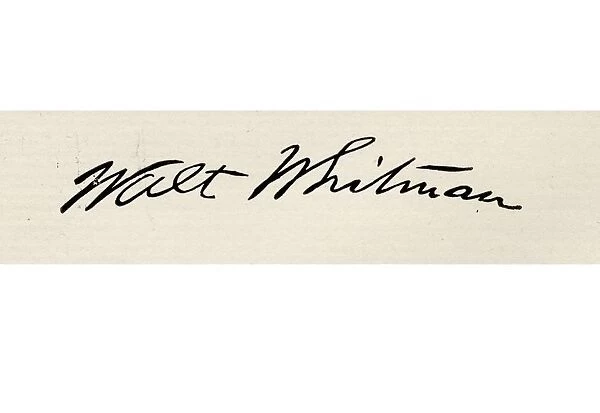 Signature Of Walt Whitman, 1819-1892. American Poet. From The Book The International Library Of Famous Literature. Published In London 1900. Volume Xviii