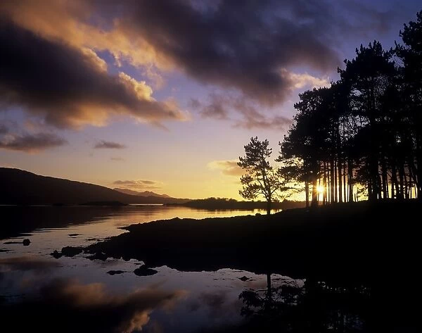 Silhouette Of Trees On The Riverbank, Kenmare River, Kerry, Republic Of Ireland