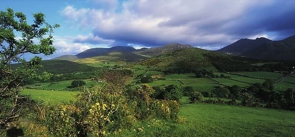 Slieve Bearnagh, Mourne Mountains, Co Down, Ireland; Longview Of Meadow Towards Mountains From Trassey Road