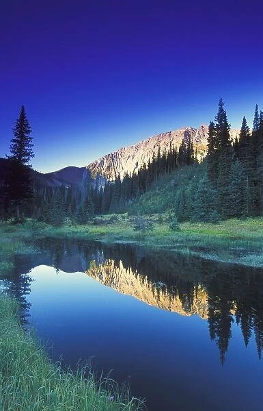 Small Calm Mountain Creek, Kootenays, British Columbia, Canada