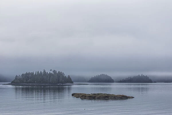 Small Islands Covered With Trees In The Fog; British Columbia, Canada