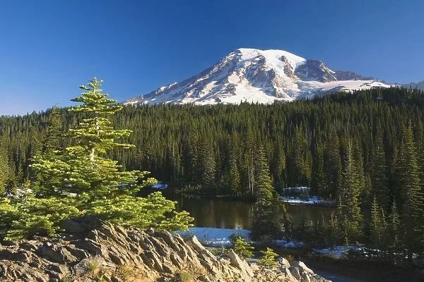 Snow-Capped Mountain; Washington, Usa
