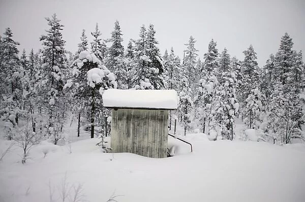 Snow Covered Cabin By Forest