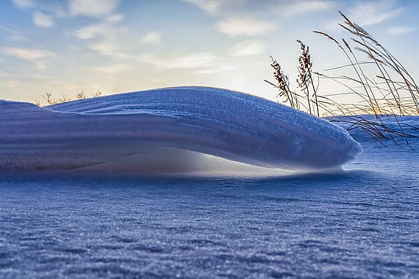 Snow sculptures formed by winds, Hudson Bay, Manitoba, Canada