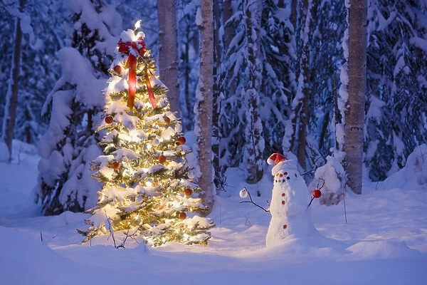 Snowman With Santa Hat Hanging Ornaments On A Christmas Tree In A Snow Covered Birch Forest In Southcentral Alaska