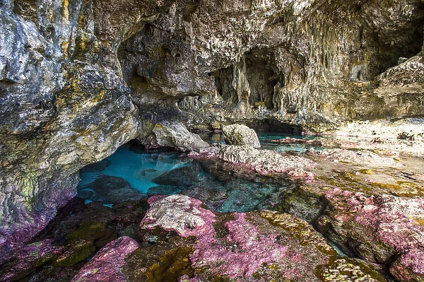 Soft Corals Decorate The Ocean Caves That Line The Nuie Coastline; Niue
