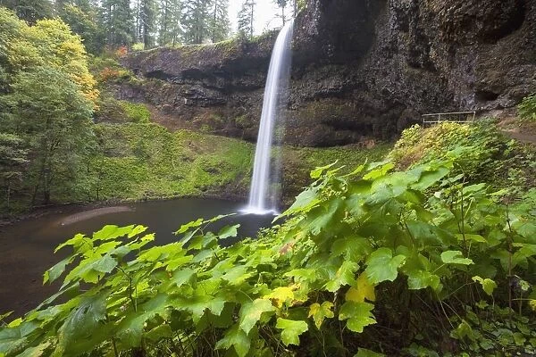 South Silver Falls, Silver Falls State Park, Oregon, Usa