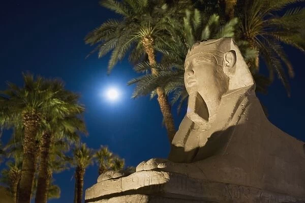 Sphinx And Date Palms With Full Moon Behind