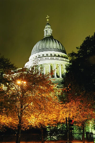 St Pauls Cathedral At Night With Trees