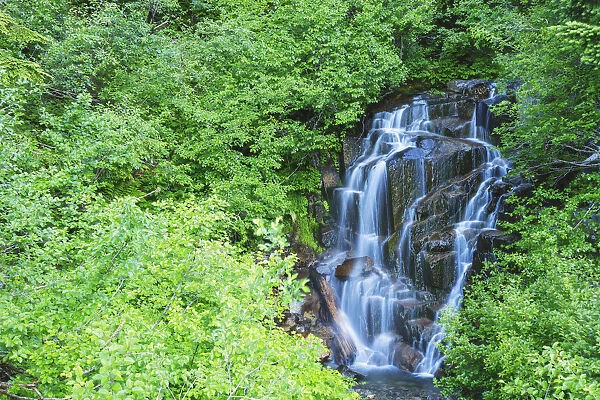 Stevens creek waterfall mount rainer national park near seattle; Washington united states of america