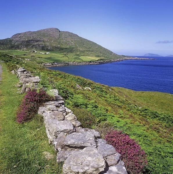 Stone Wall On A Coast, Allihies, County Cork, Republic Of Ireland