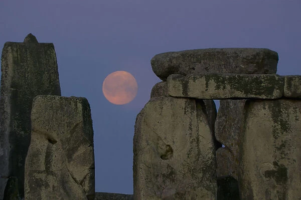 Stonehenge with a harvest moon; Wiltshire, England