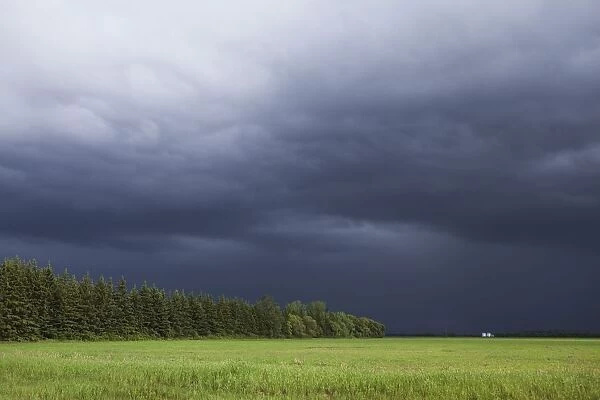 Storm Clouds Over The Prairies; Winnipeg, Manitoba, Canada