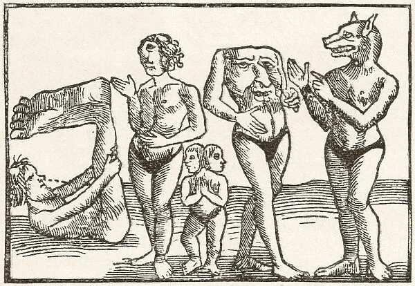 Strange Tribes From The Wilds Of The Earth. From Left To Right, A Monopodi, A Monoculi Cyclopean, A Two Headed Dwarf, A Person With No Head But Merely A Face On Their Chest And A Member Of The Cynocephali Or Dog Headed People. After A 16th Century Woodcut Print. From The Strand Magazine Published 1897