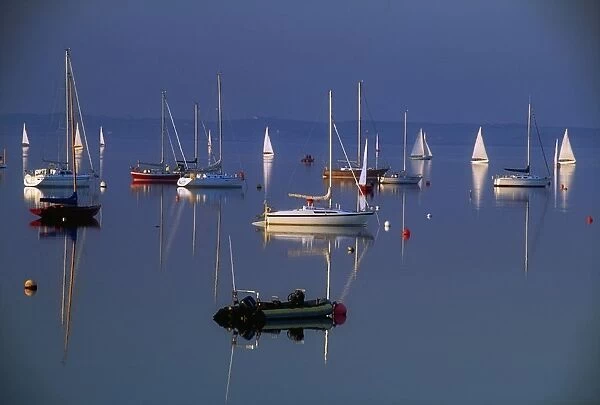 Strangford Lough, Co Down, Ireland; Sailboats On Still Water