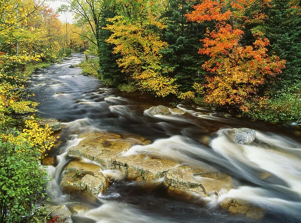 Stream Flowing Through Forest In Vermont, Usa
