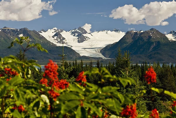 Summer Scenic Of Grewingk Glacier And The Kenai Mountains Of Kachemak Bay State Park In Southcentral Alaska